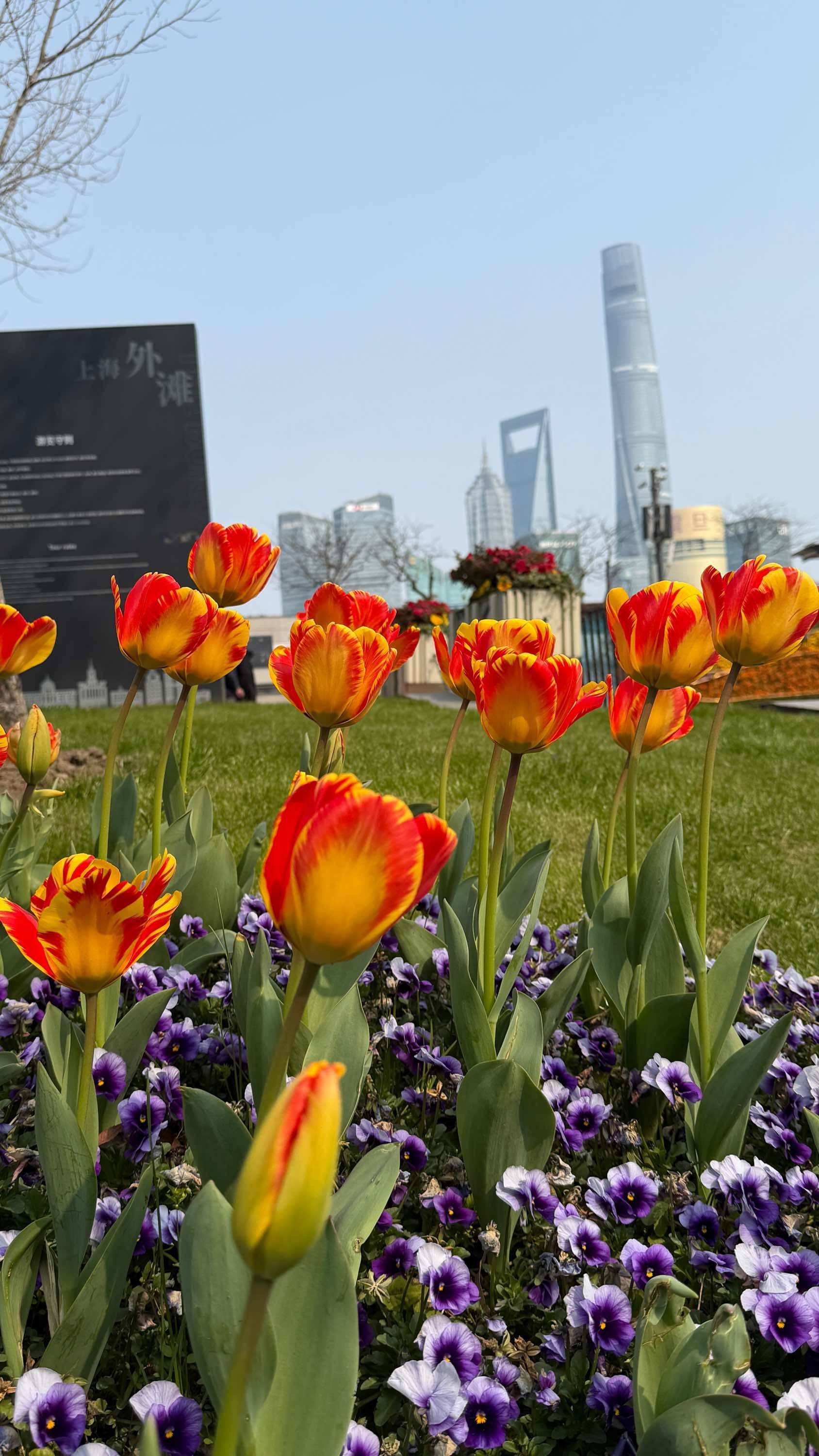 春和景明。 春日限定  阳光正好 _1