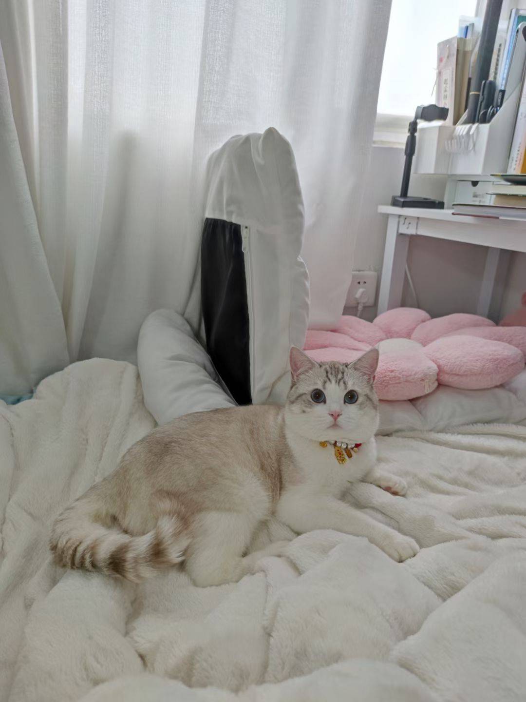 想找个合适的室友也太难了😥 片刻心事 _1