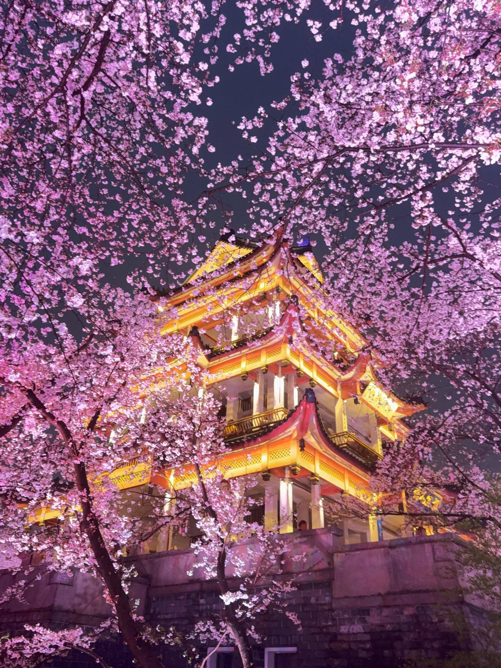 “花边楼阁月边廊，更爱繁灯照夜光…” _2