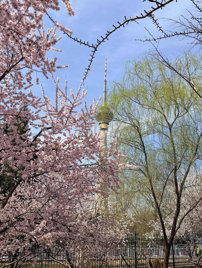 春暖花开毕业季实习季 北三环安贞里