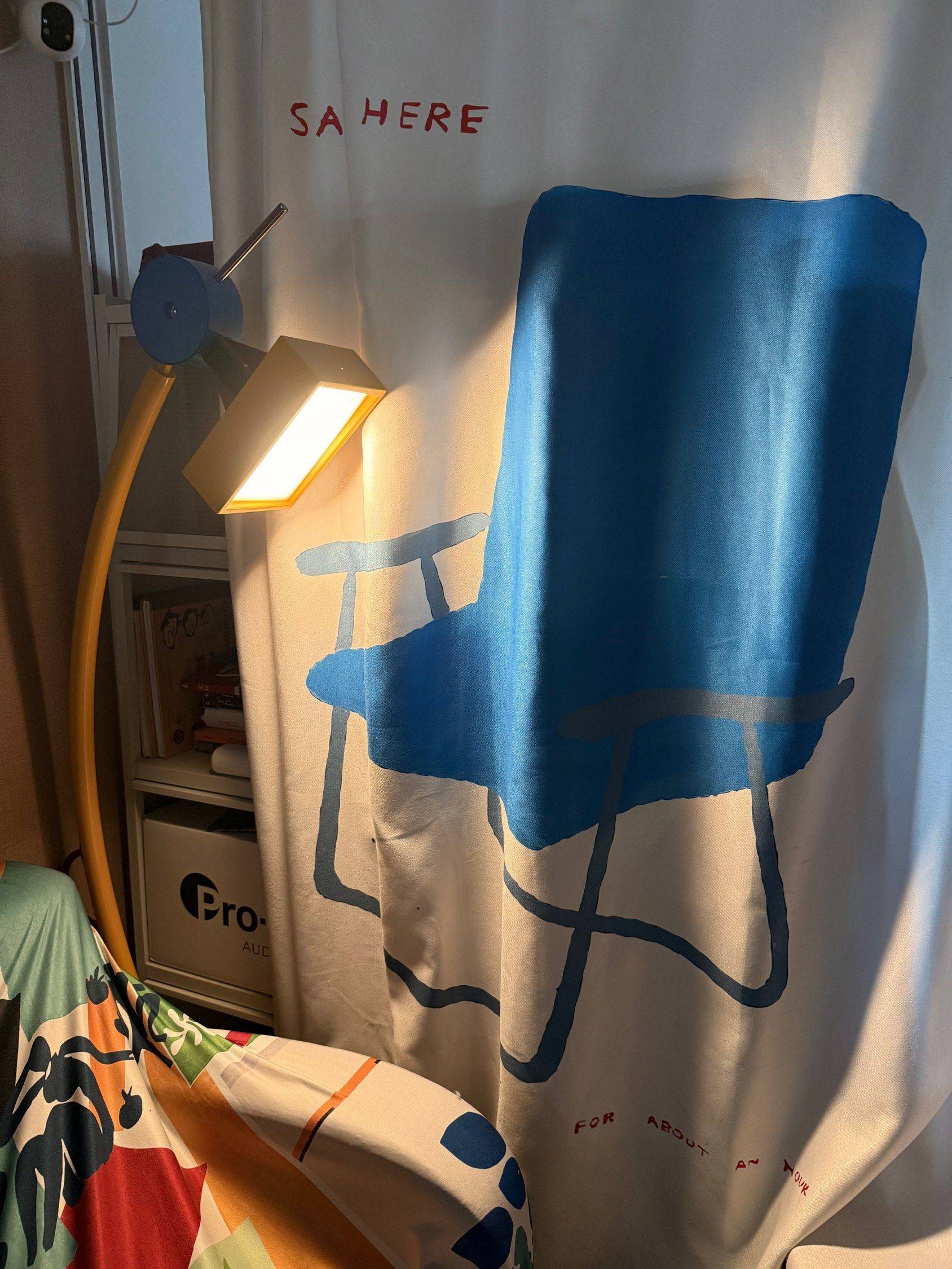 个人闲置孟菲斯风格落地灯现价280