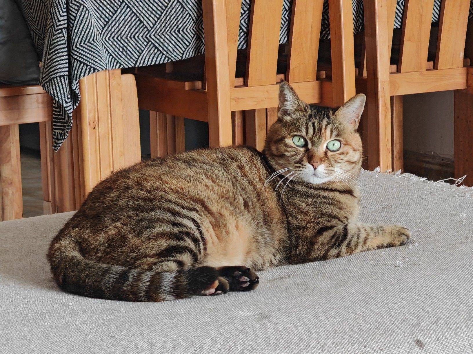 再看我就把你喝掉