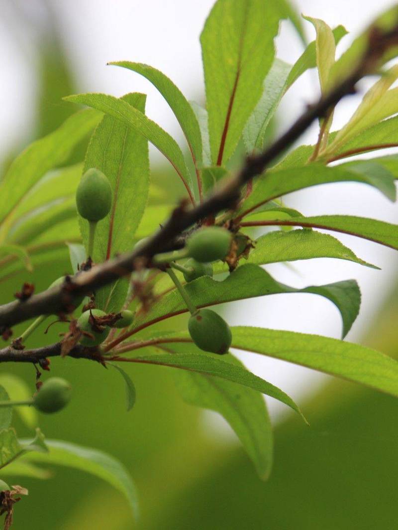 星星孩子⭐|他们的世界|我们慢慢靠近