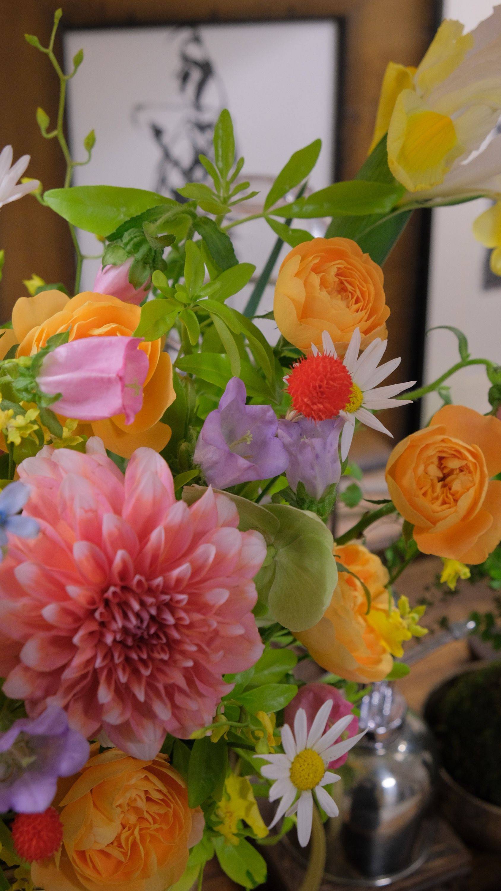 🥳最美的春天在我家_3