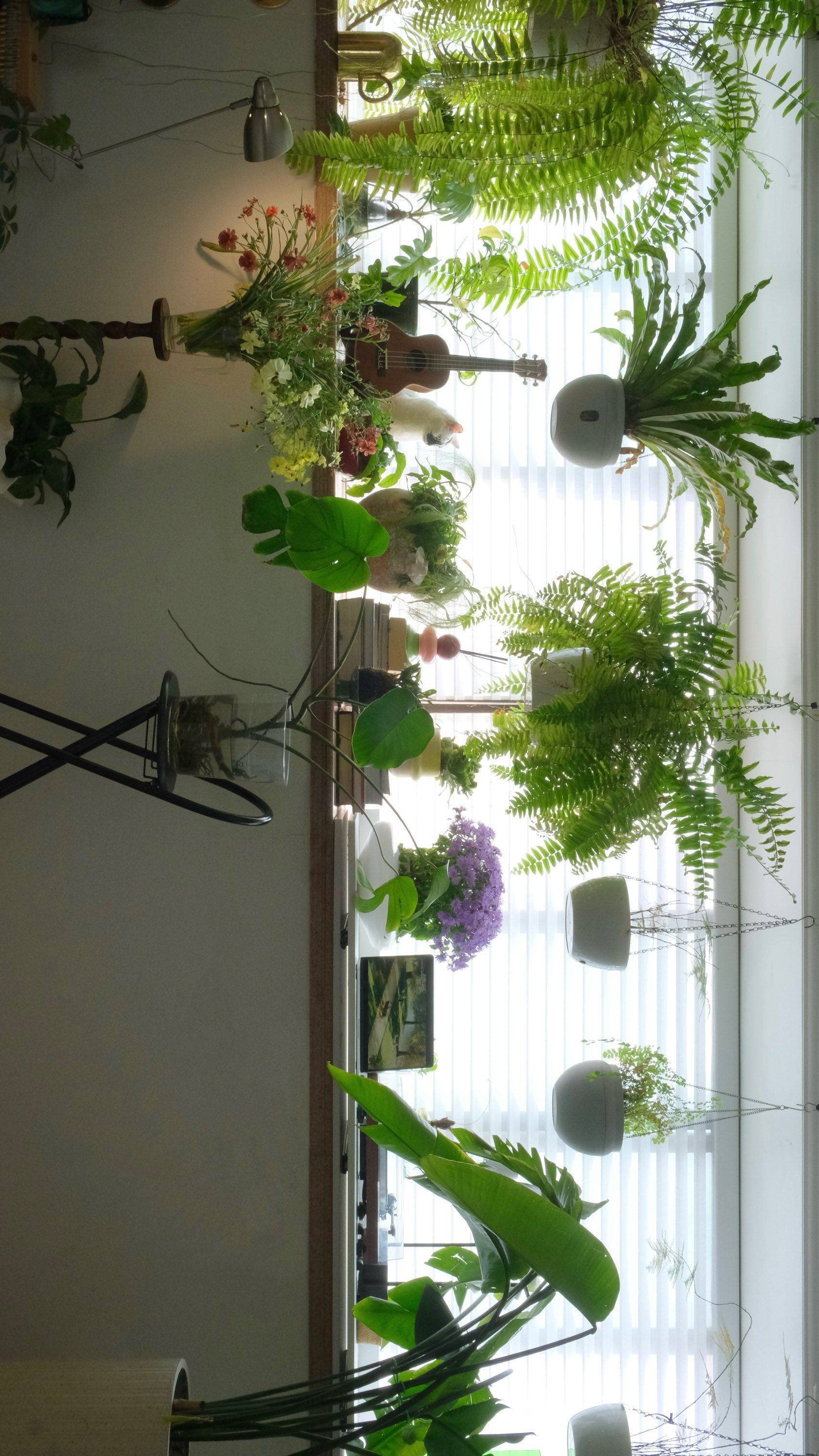 🥳最美的春天在我家_1