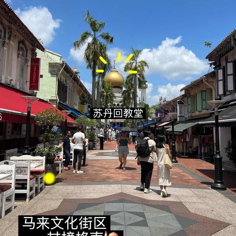 新加坡|竟然把整座森林搬进了大厦🌳🏙️_4