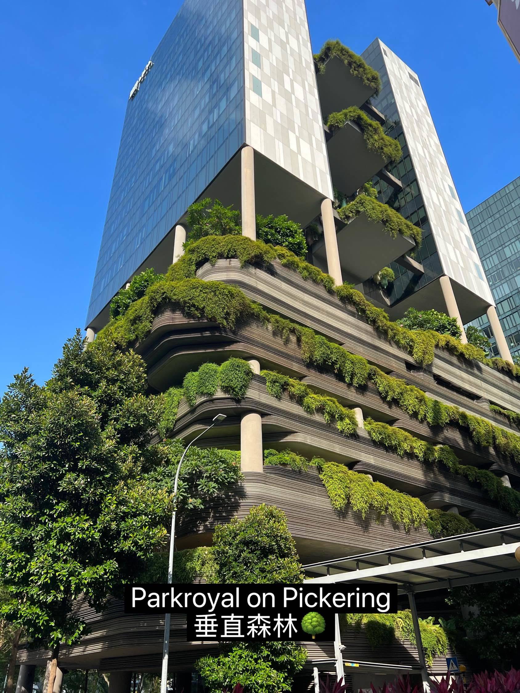 新加坡｜竟然把整座森林搬进了大厦🌳🏙️