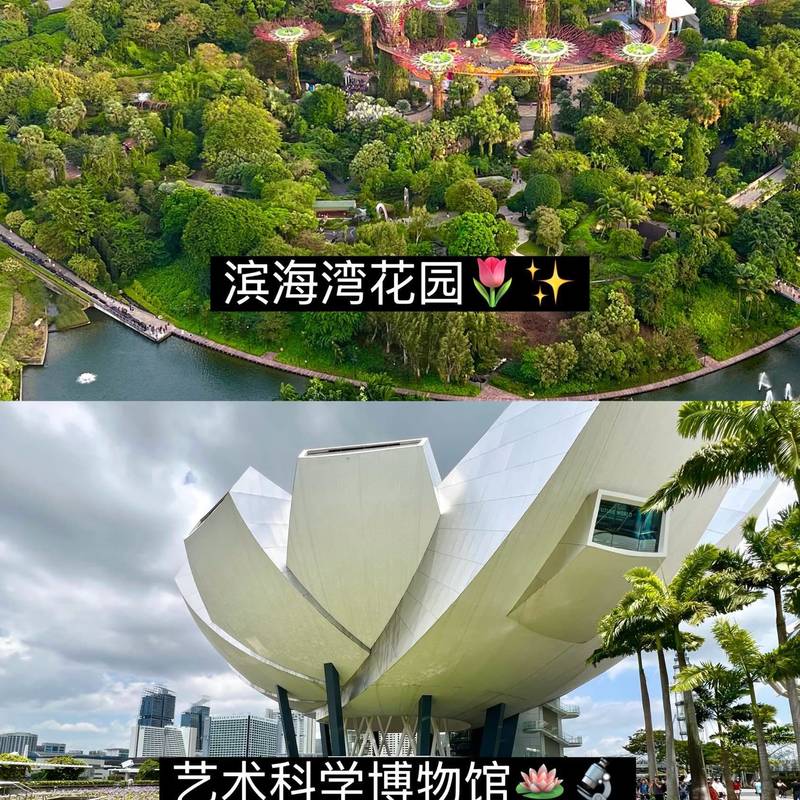 新加坡|竟然把整座森林搬进了大厦🌳🏙️_3