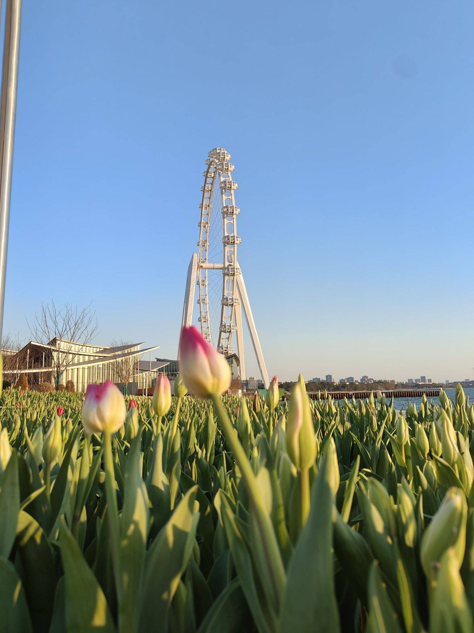 独墅湖旁独卫次卧找室友