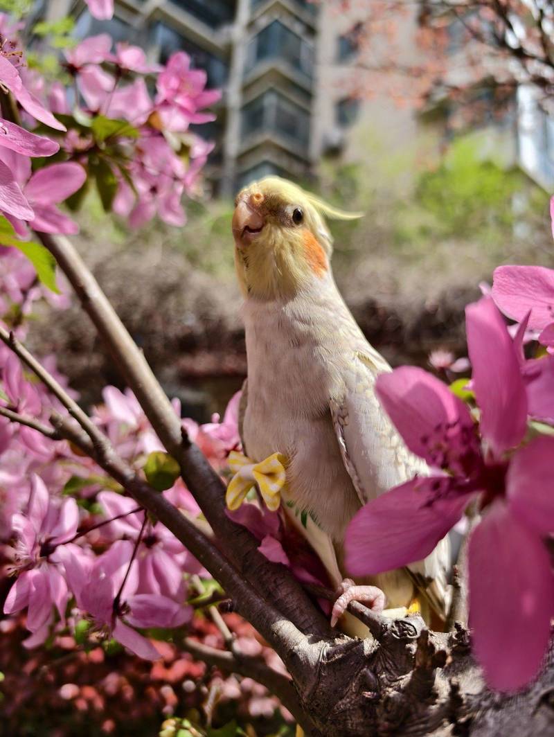 谁要来与你做伴呢