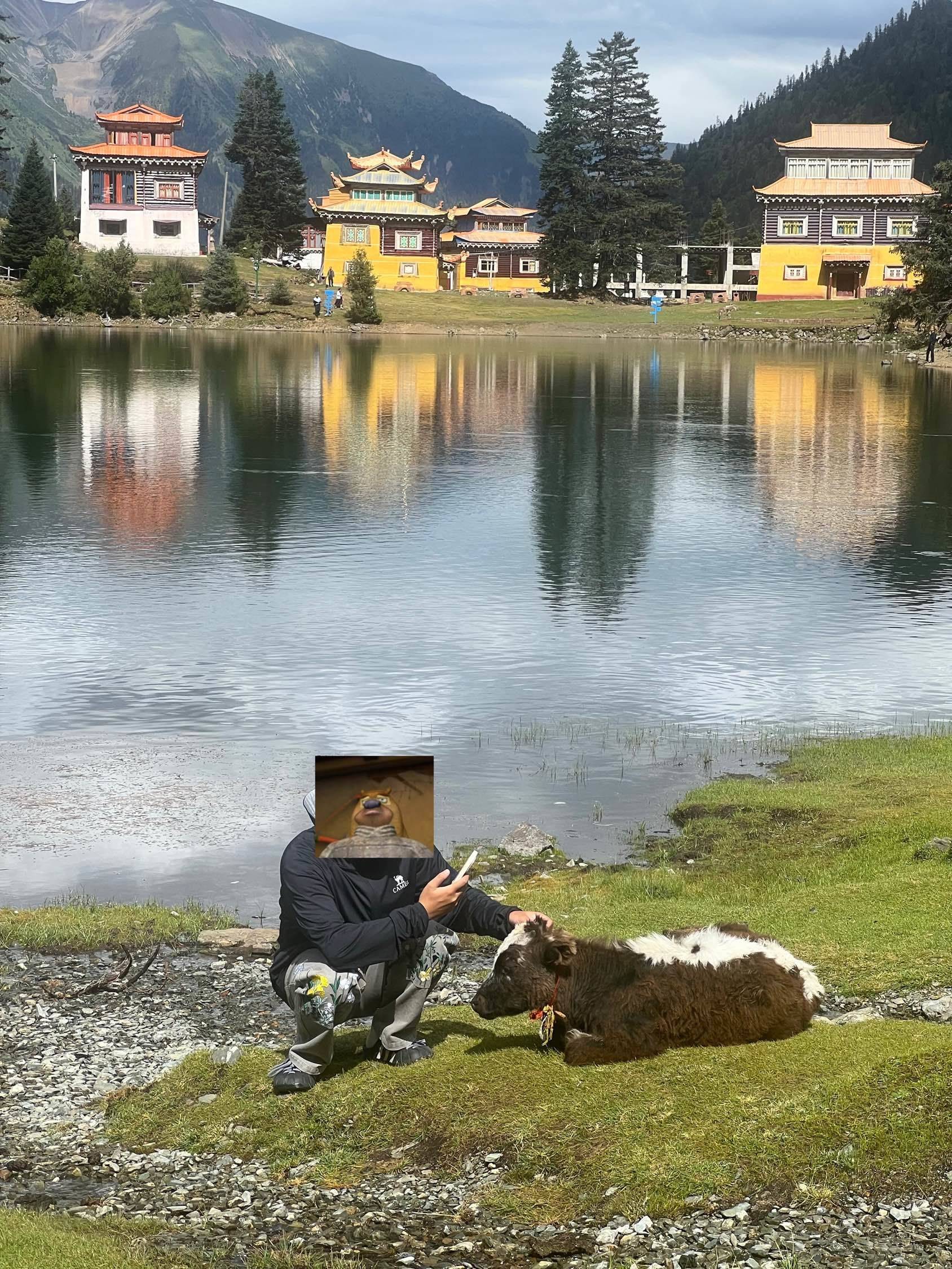 摸摸牛牛 牛牛大顺