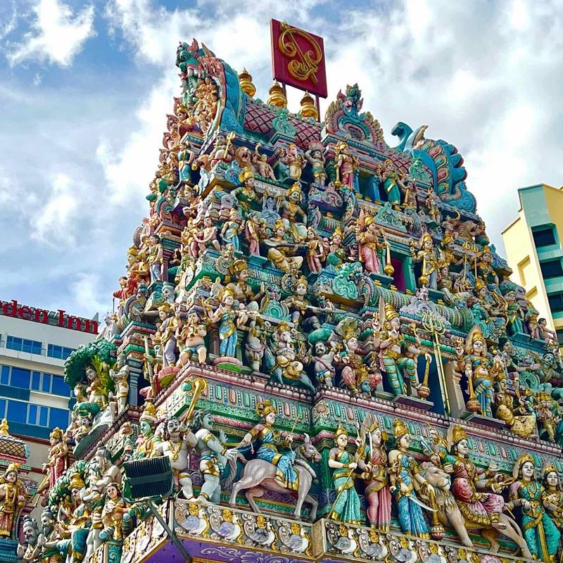 新加坡|竟然把整座森林搬进了大厦🌳🏙️_1