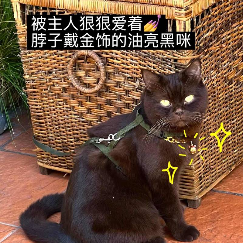 泰国|原来流浪,也可以被整个城市温柔对待🥺_2