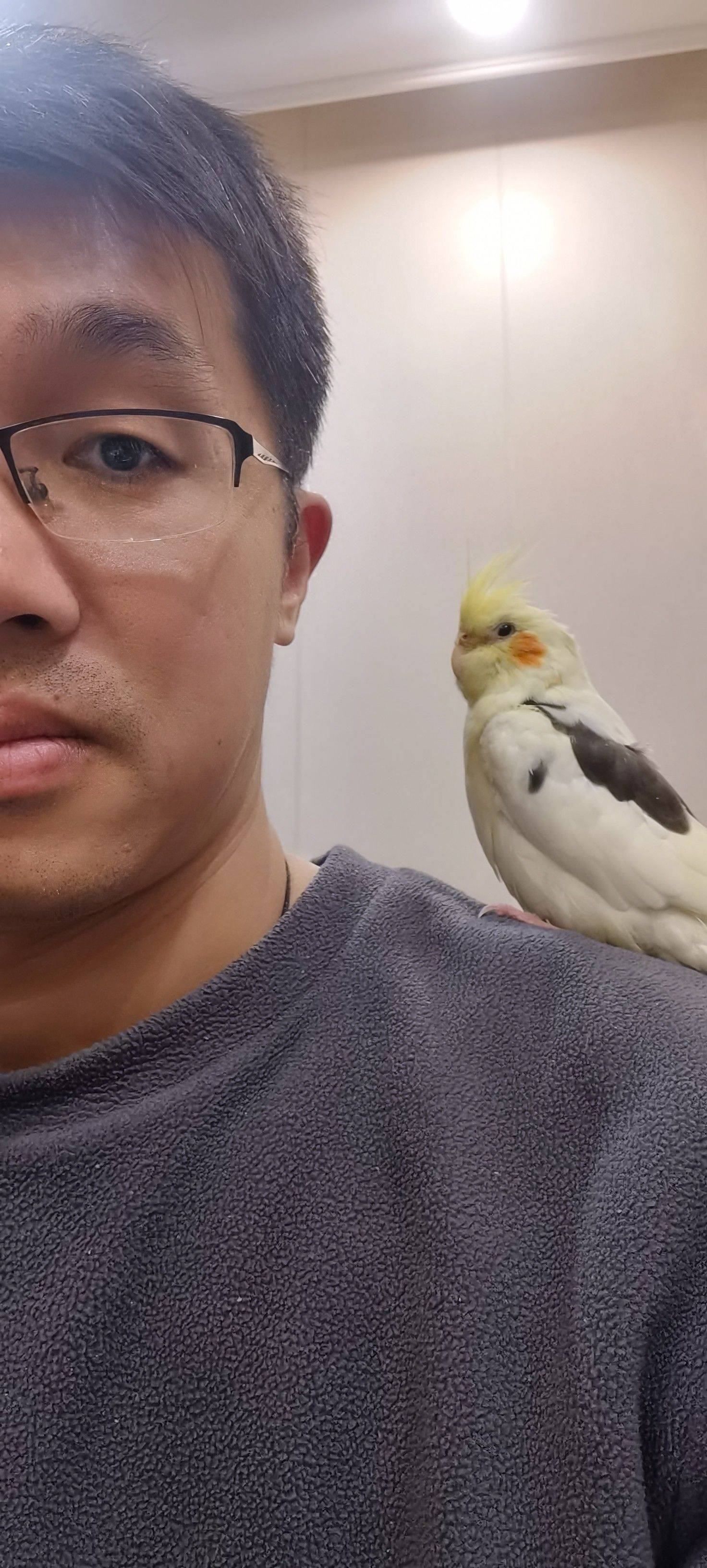 小可爱，最配合的一张