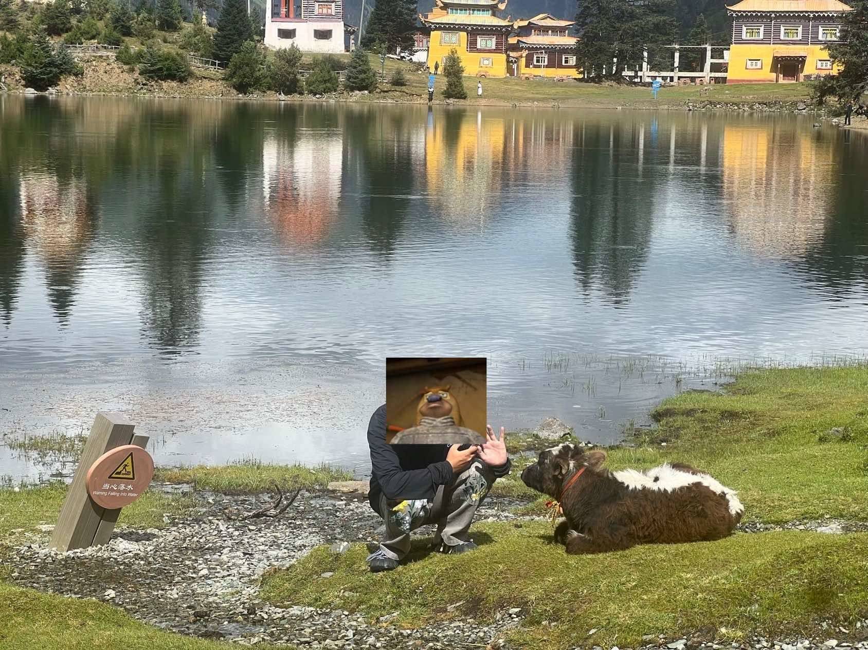 摸摸牛牛 牛牛大顺_1