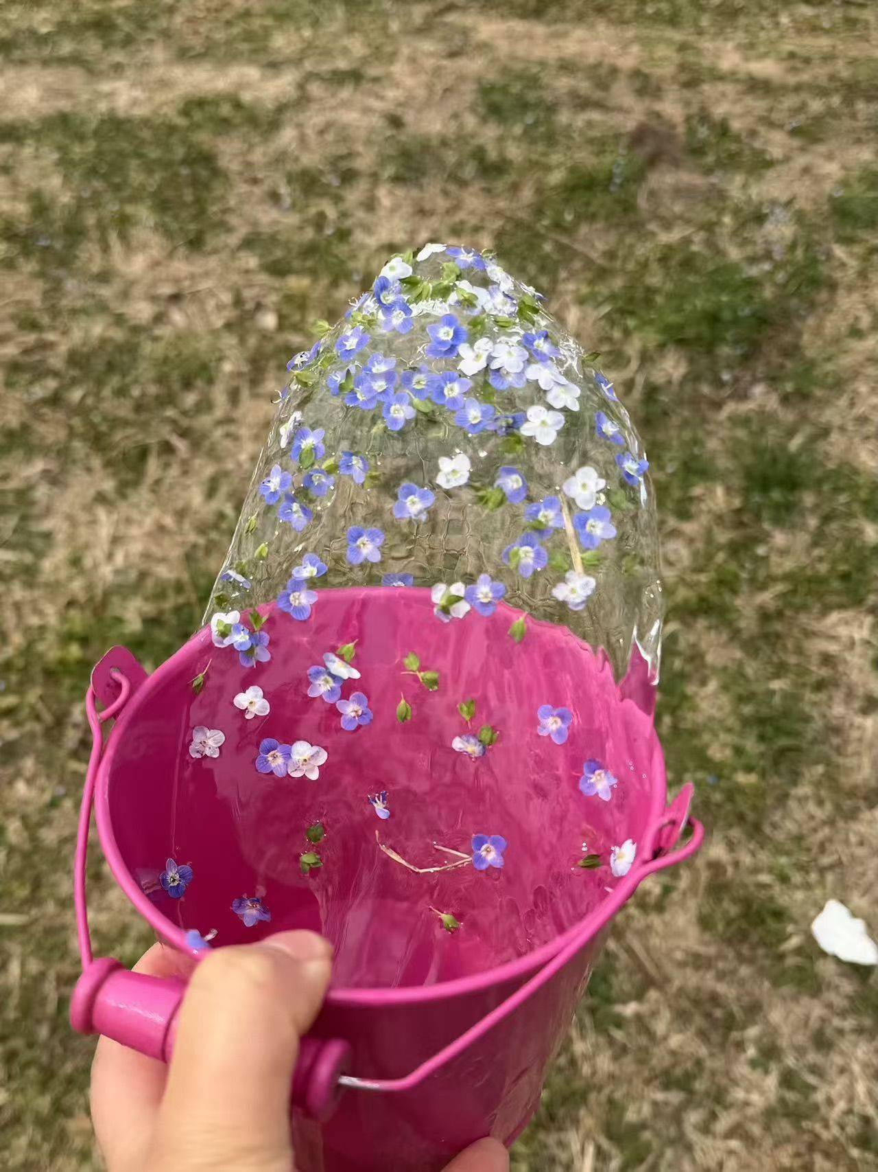 北京海淀次卧出租_1