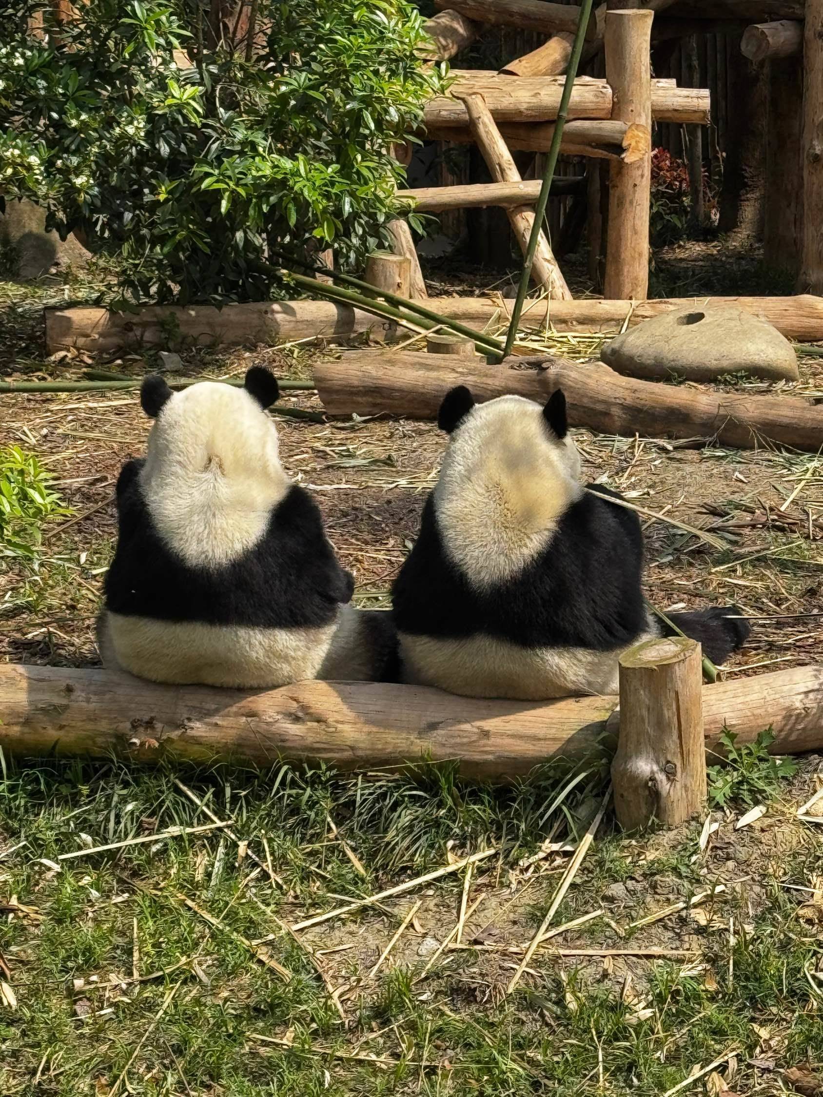 看到了超级和谐的一幕!