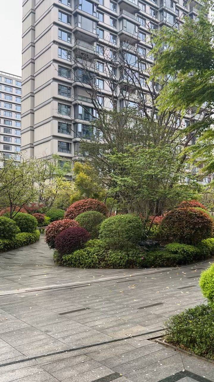 漫步大自然  小区绿意  午后闲逛