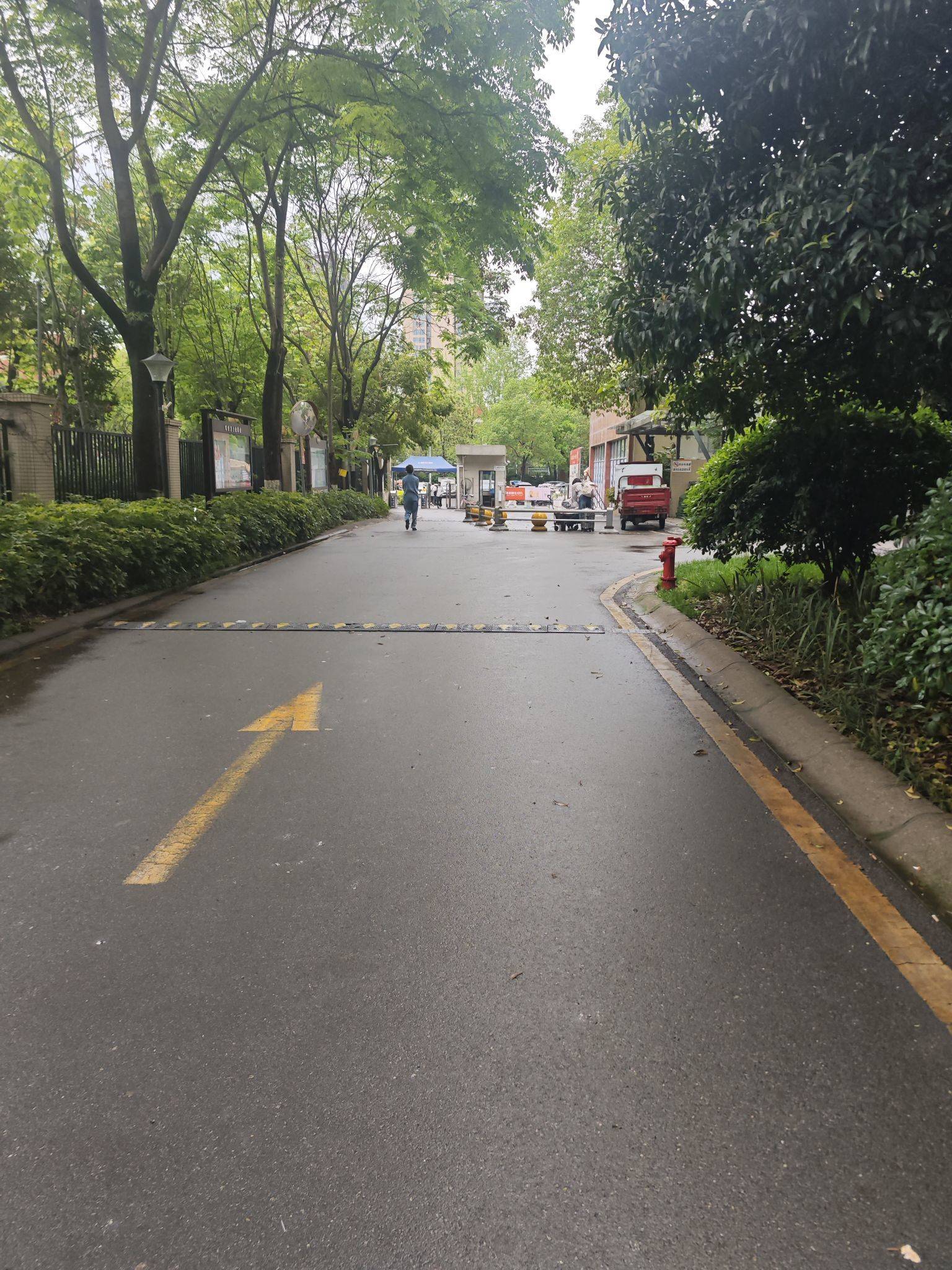  小区入口  漫步大自然  出门遛