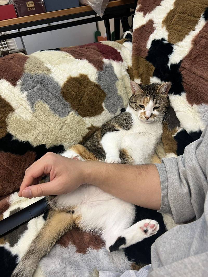 小毛米你在想什么