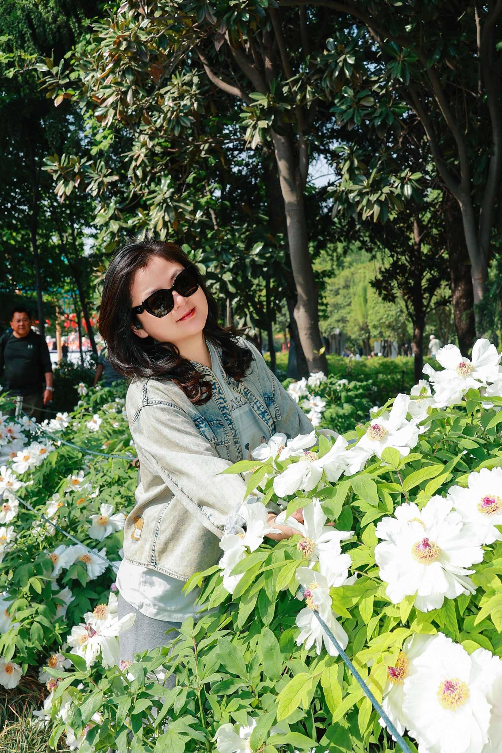 洛阳牡丹，雍容华贵～ 牡丹 _4