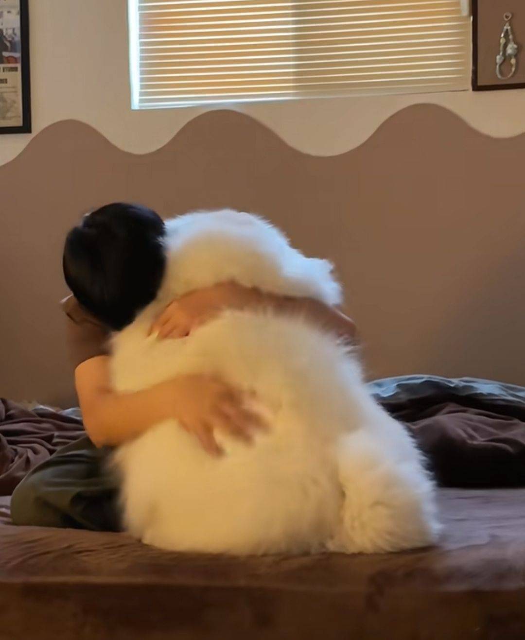 它好像个毛绒玩具啊！(づ￣ ³￣)づ_2