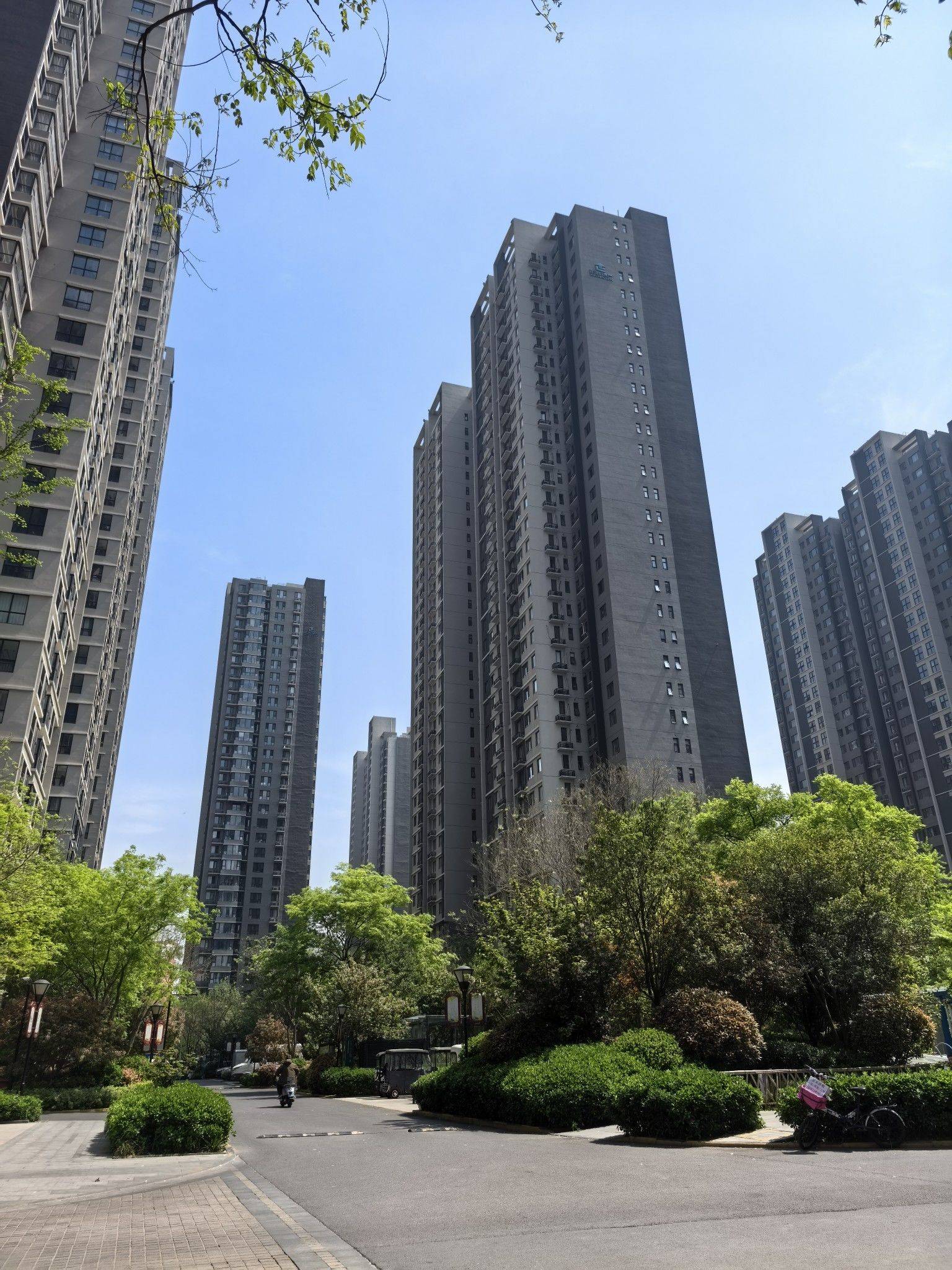 春天的气息就是春暖花开。_2