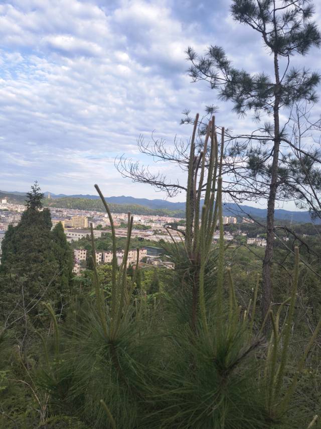 杨绛先生说:"我们曾如此渴望命运的波澜,