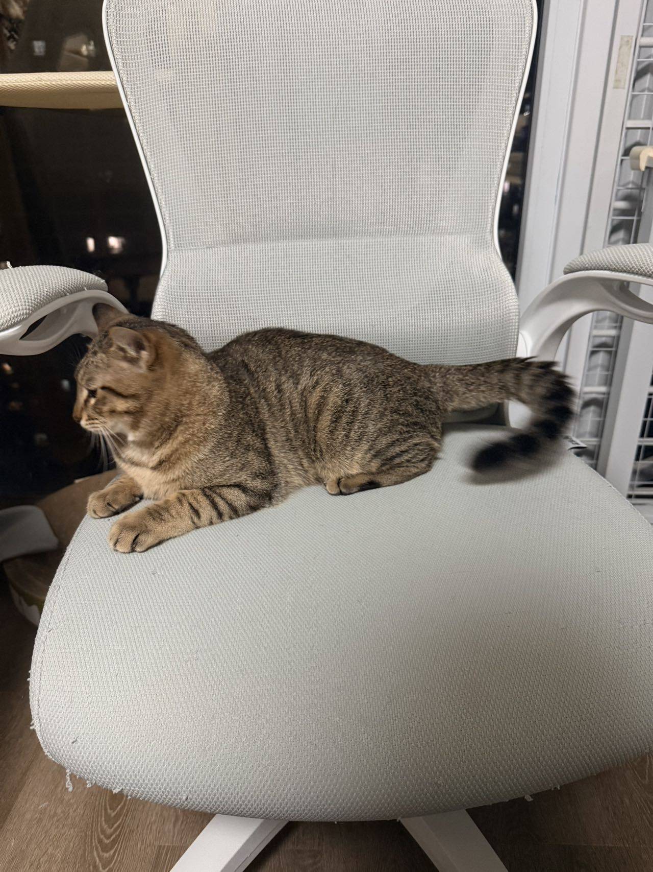 永艺小H椅子 价格170_1