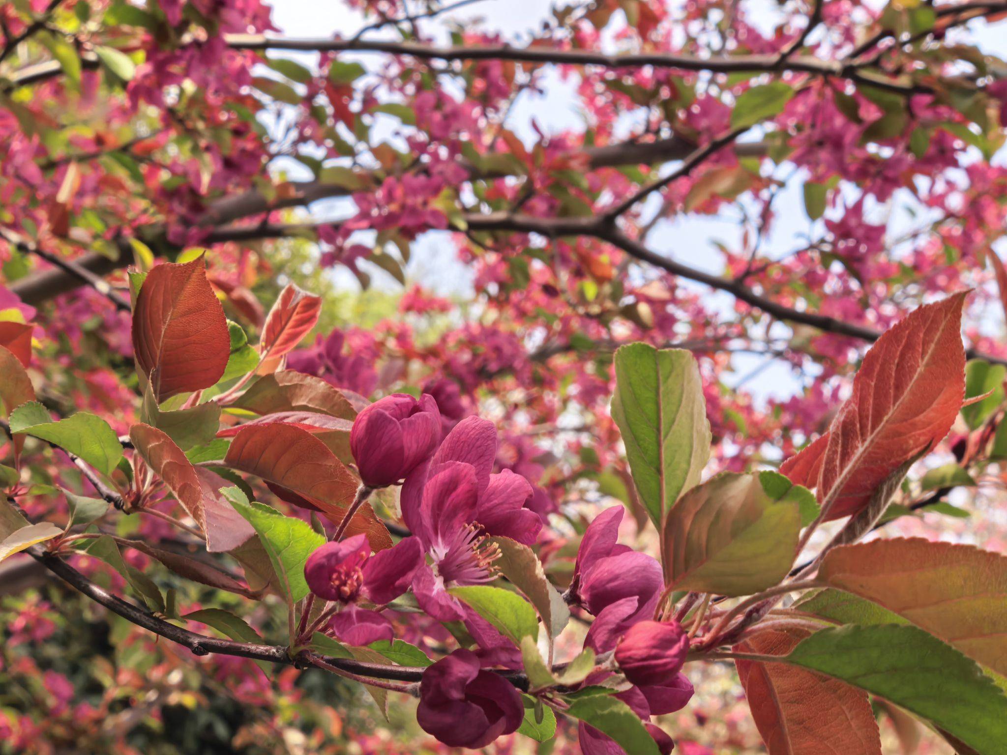 房东带你实地查看周边环境_4