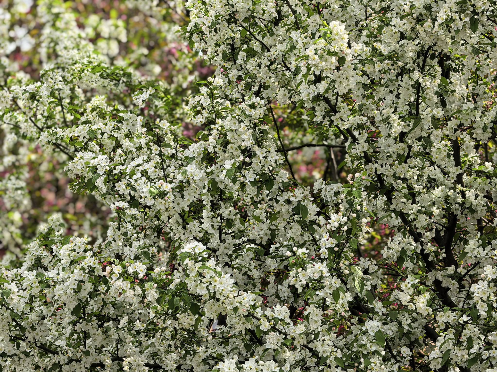 房东带看周边环境_3