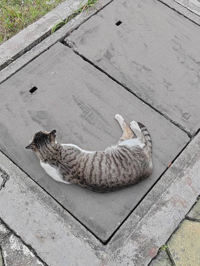 近期的小确幸_2