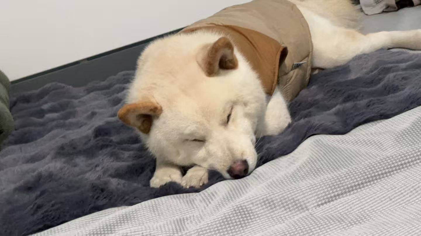 找室友找室友找室友很急很急！！！_2