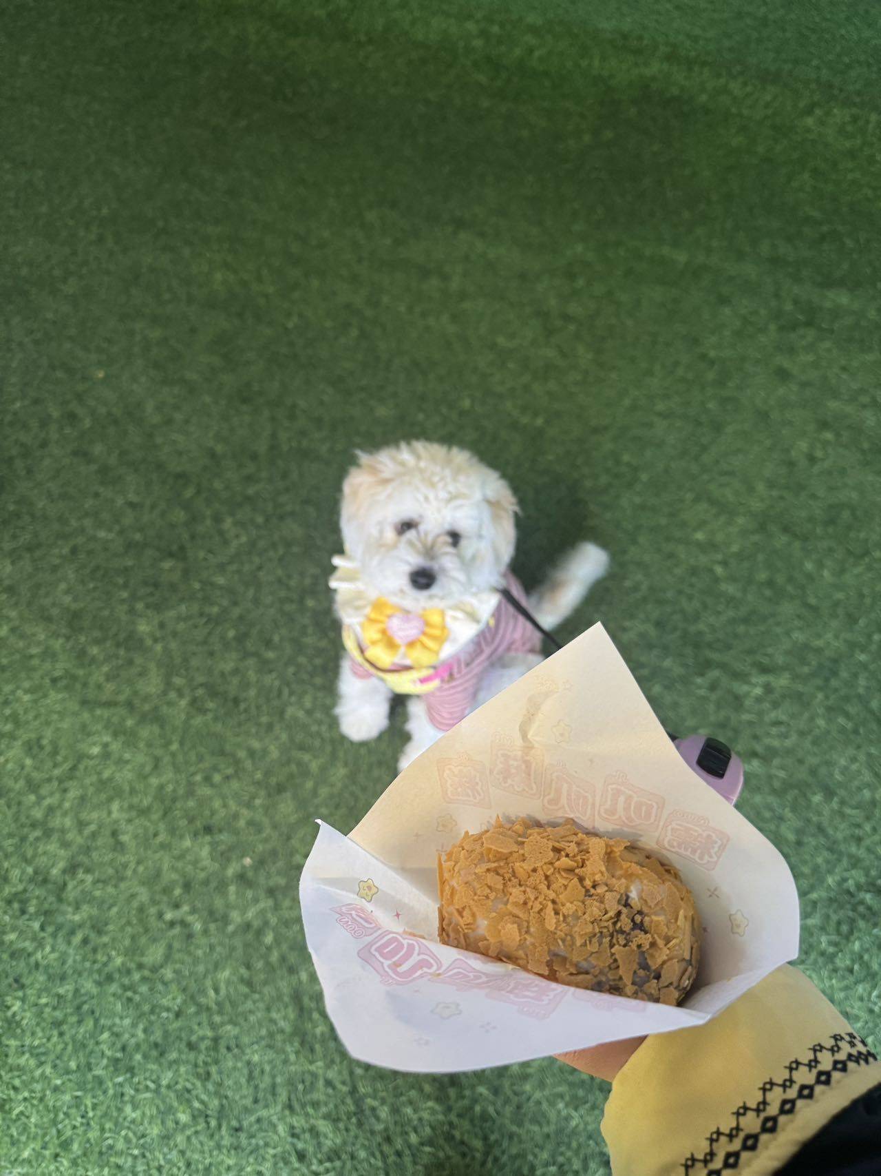 上海一岁妹妹找领养_2