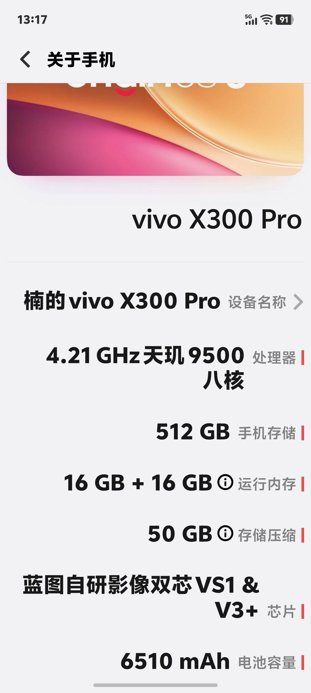 vivox300pro,16+512,没_3