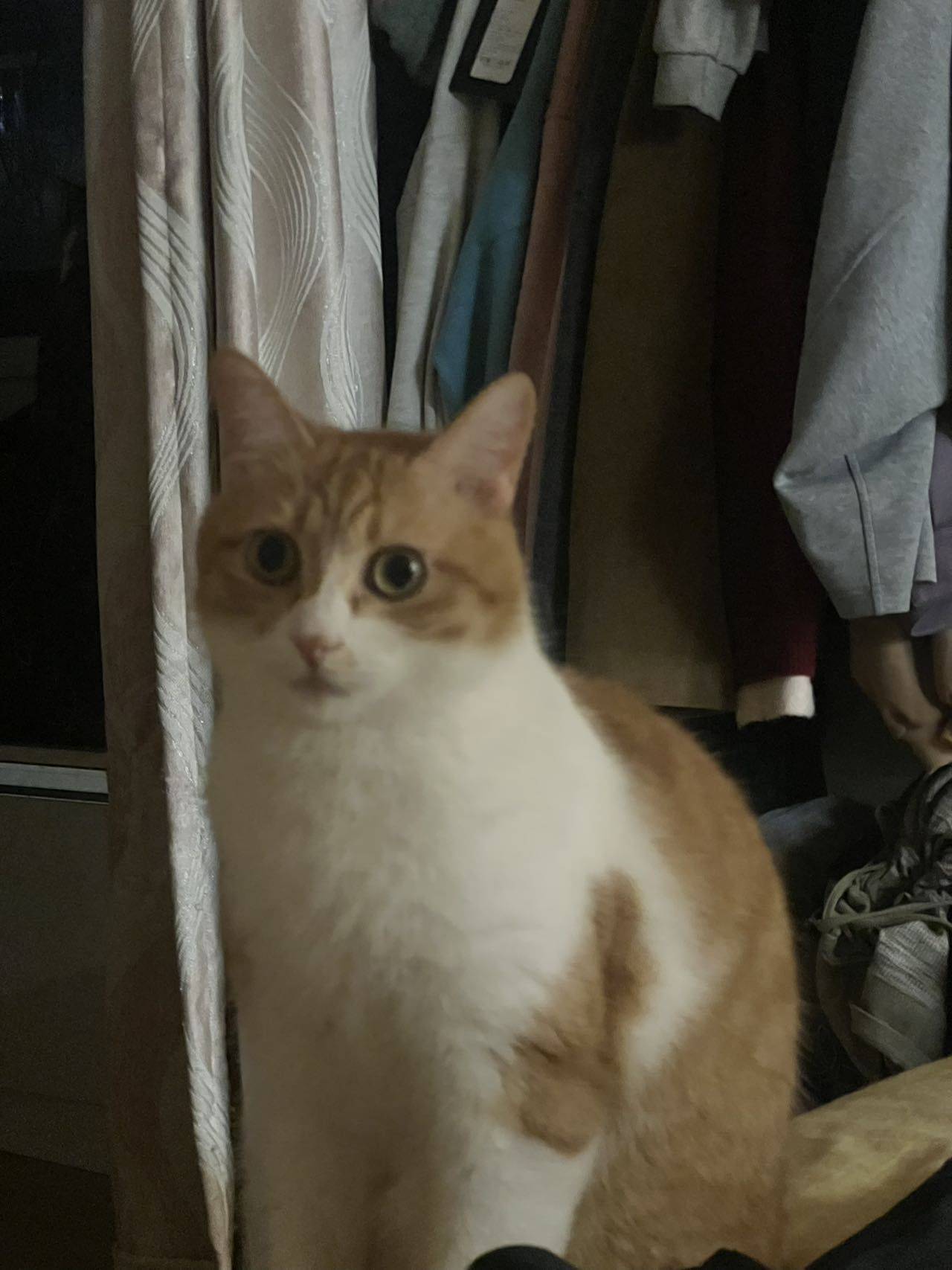 叽叽歪歪的歪歪_3