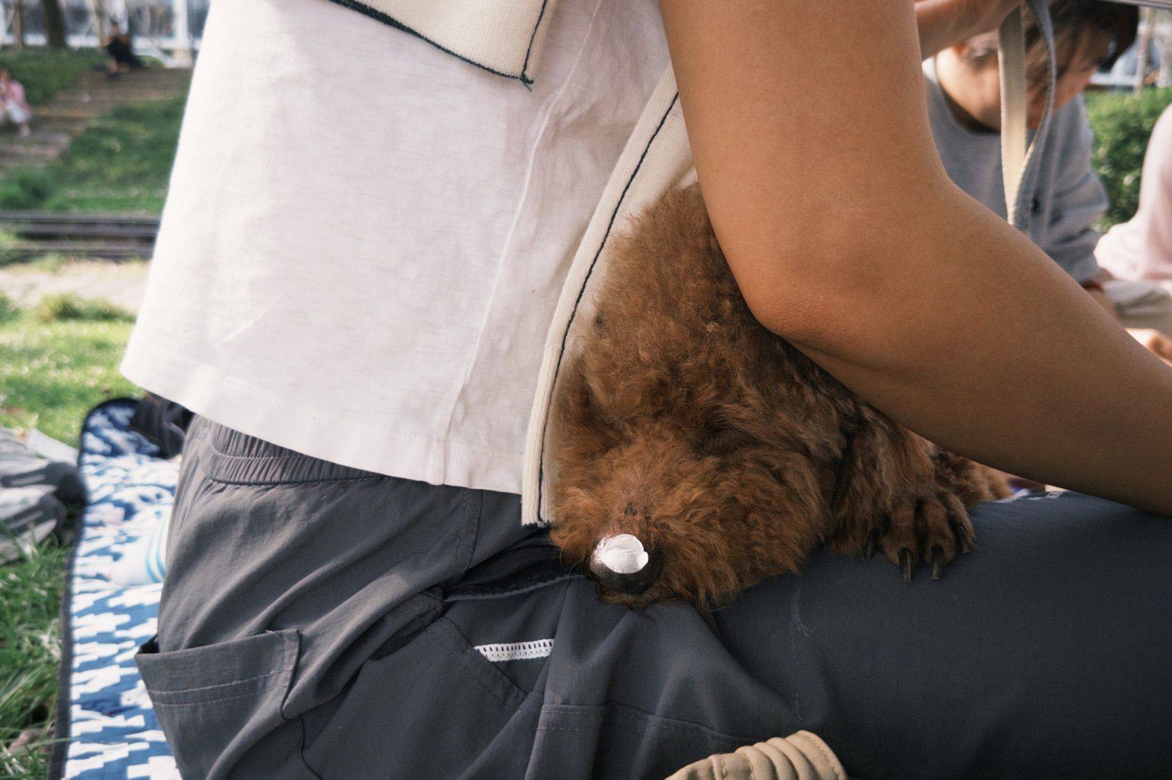 上海社群活动｜春天太短，读书重要🌸_4