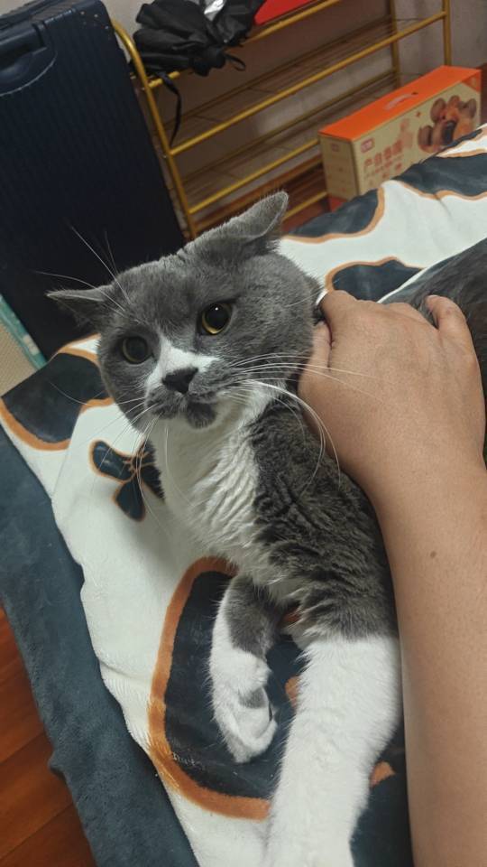 家常美食！！！！