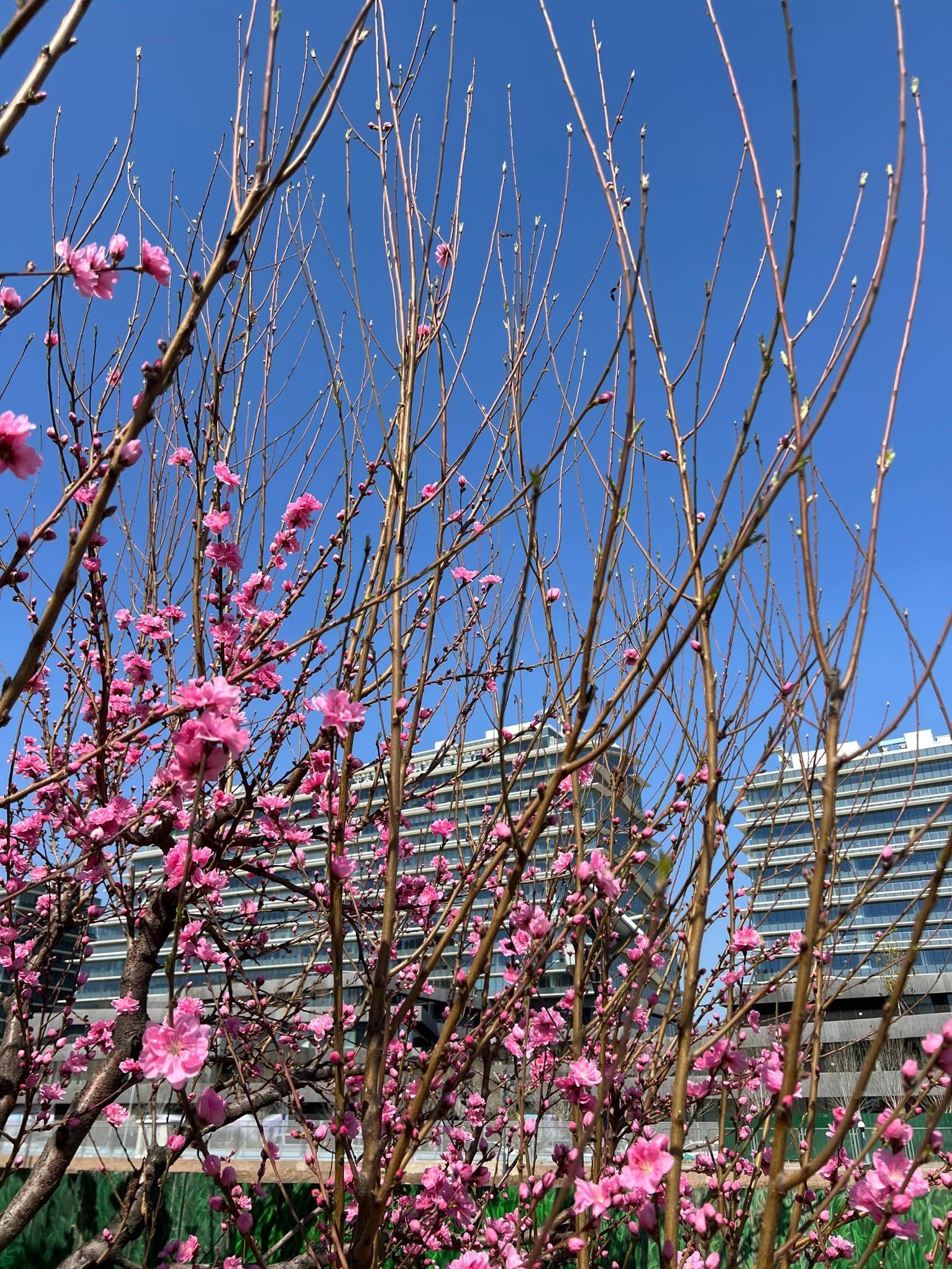 个人直租.合租找室友.无中介费