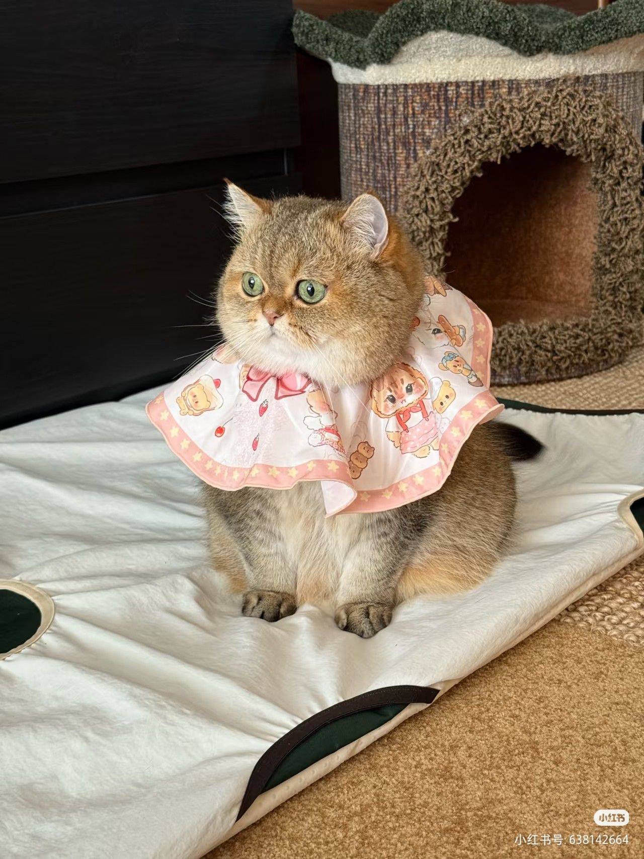 世界破破烂烂 可爱美好的事物缝缝补补_2