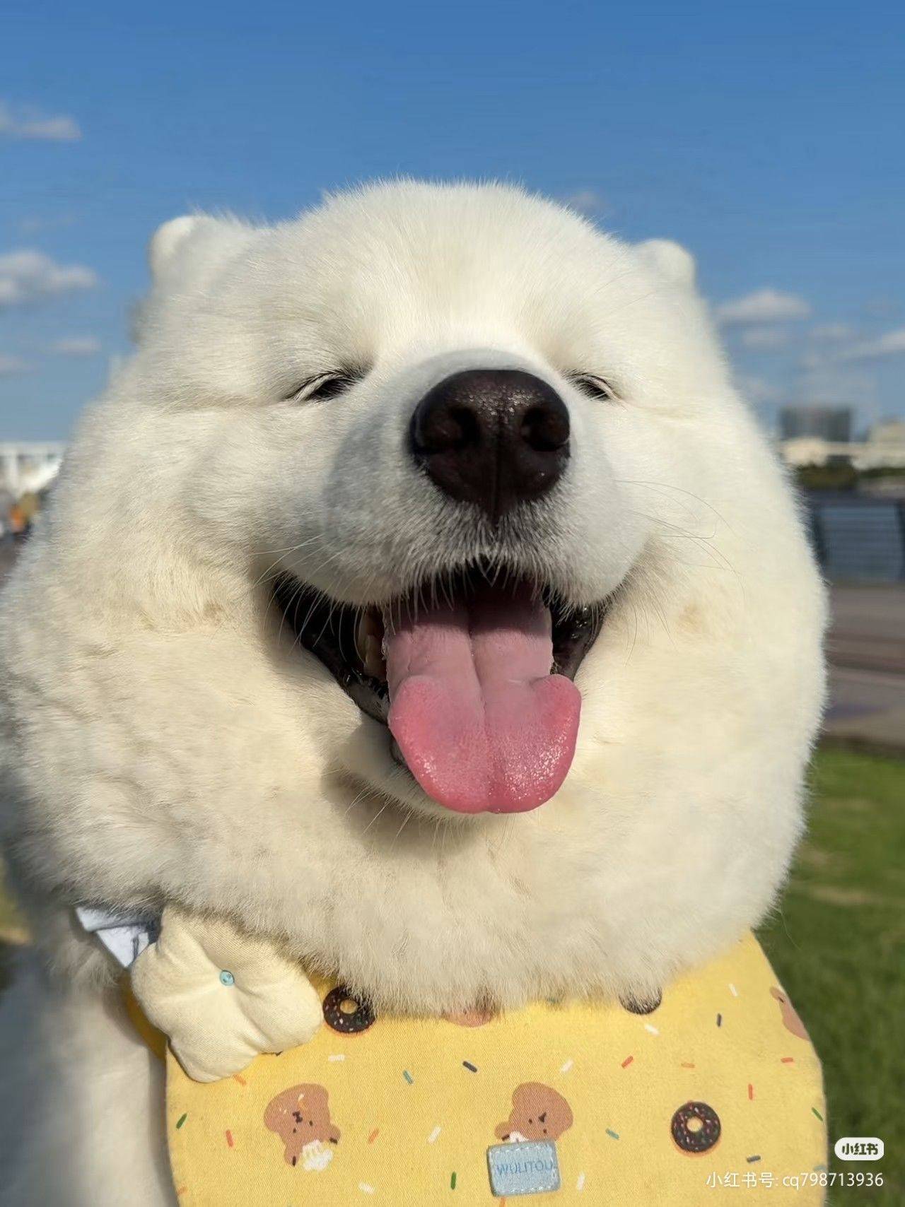 世界破破烂烂 可爱美好的事物缝缝补补