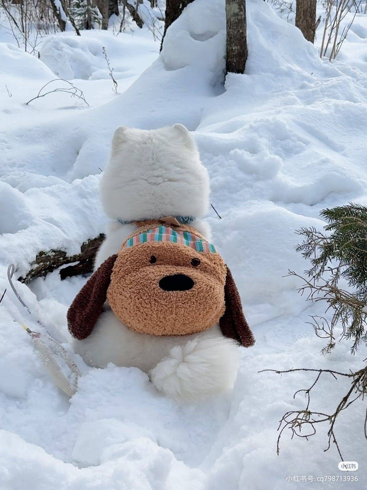 世界破破烂烂 可爱美好的事物缝缝补补_3