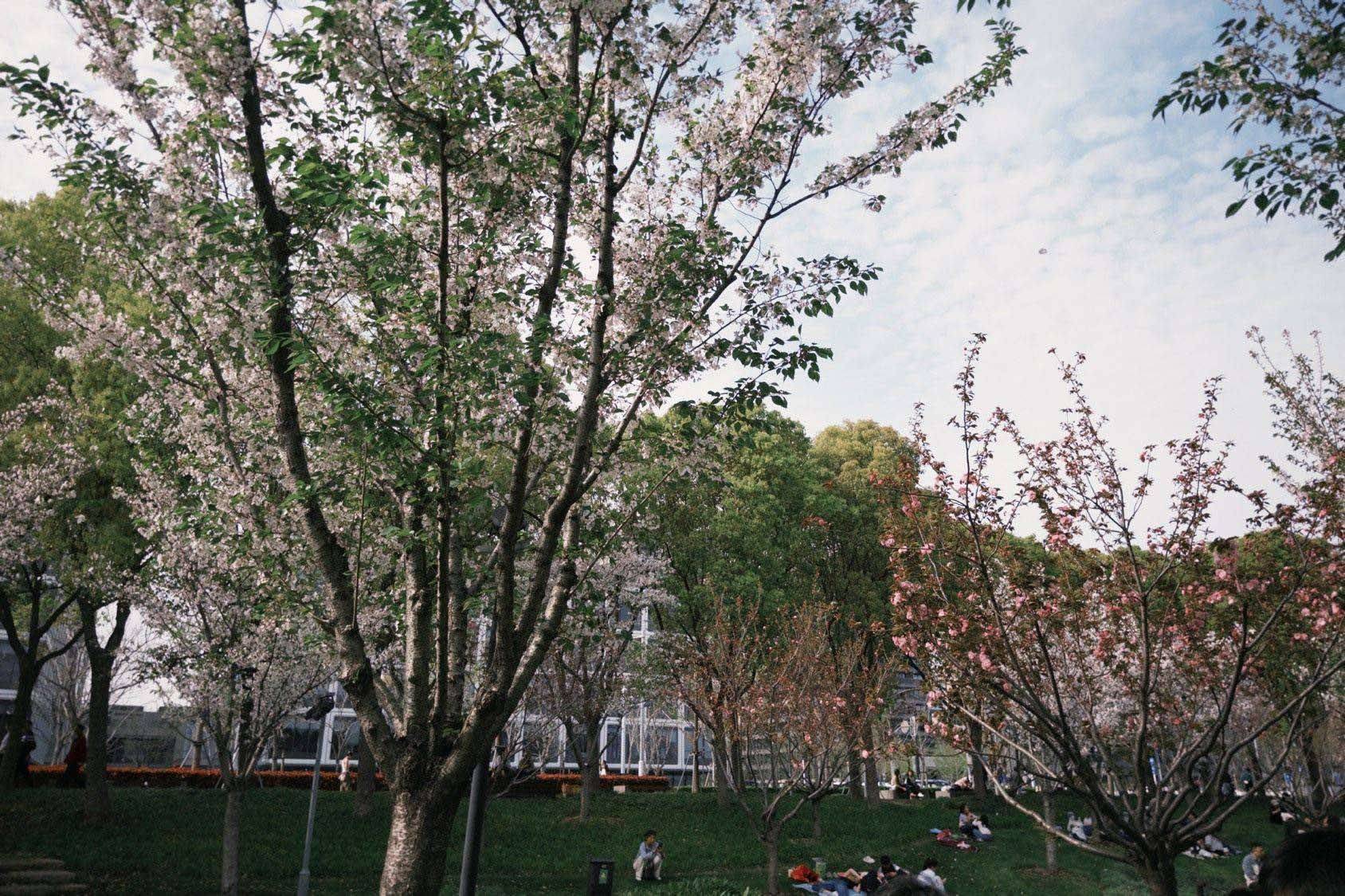 上海社群活动｜春天太短，读书重要🌸_2