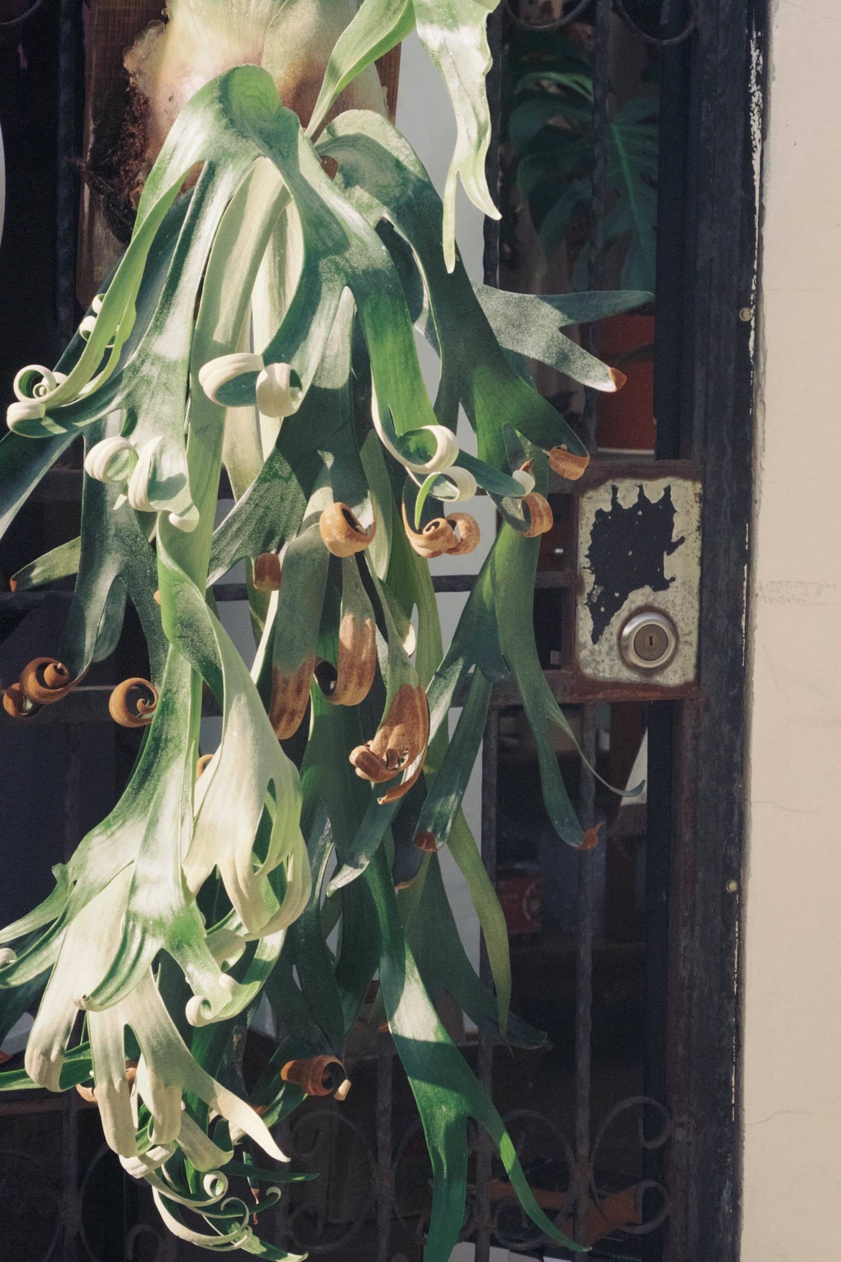 本周菜单已出～_3