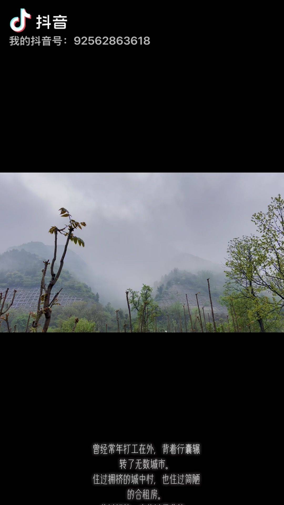 四方为榻  心是归期