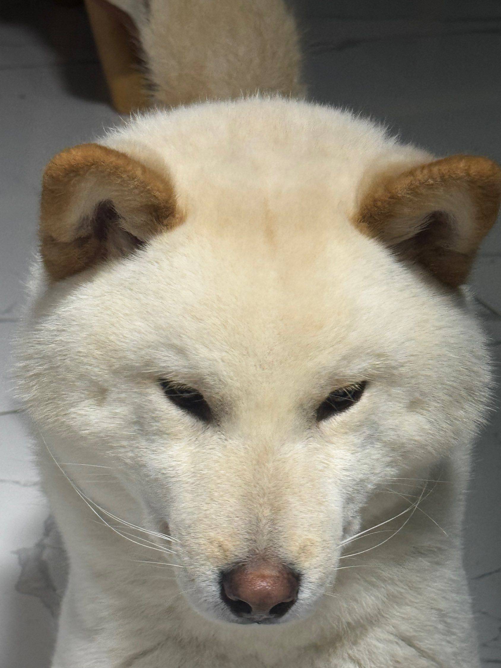 找室友找室友找室友很急很急！！！