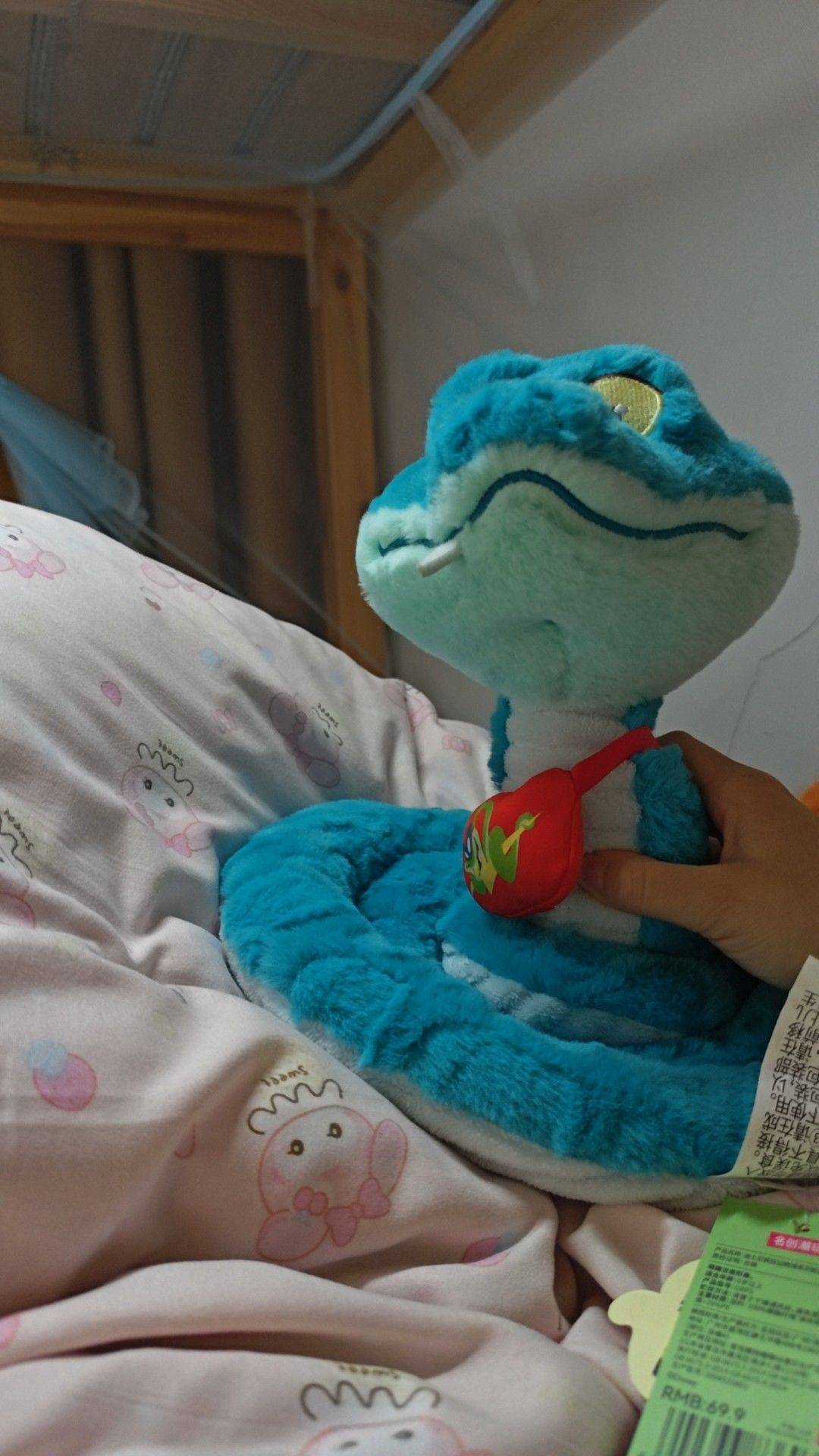  我家萌宠最可爱  宅家日常  毛