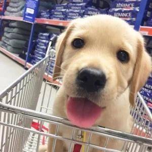 帮租客找室友！独卫小单间都有