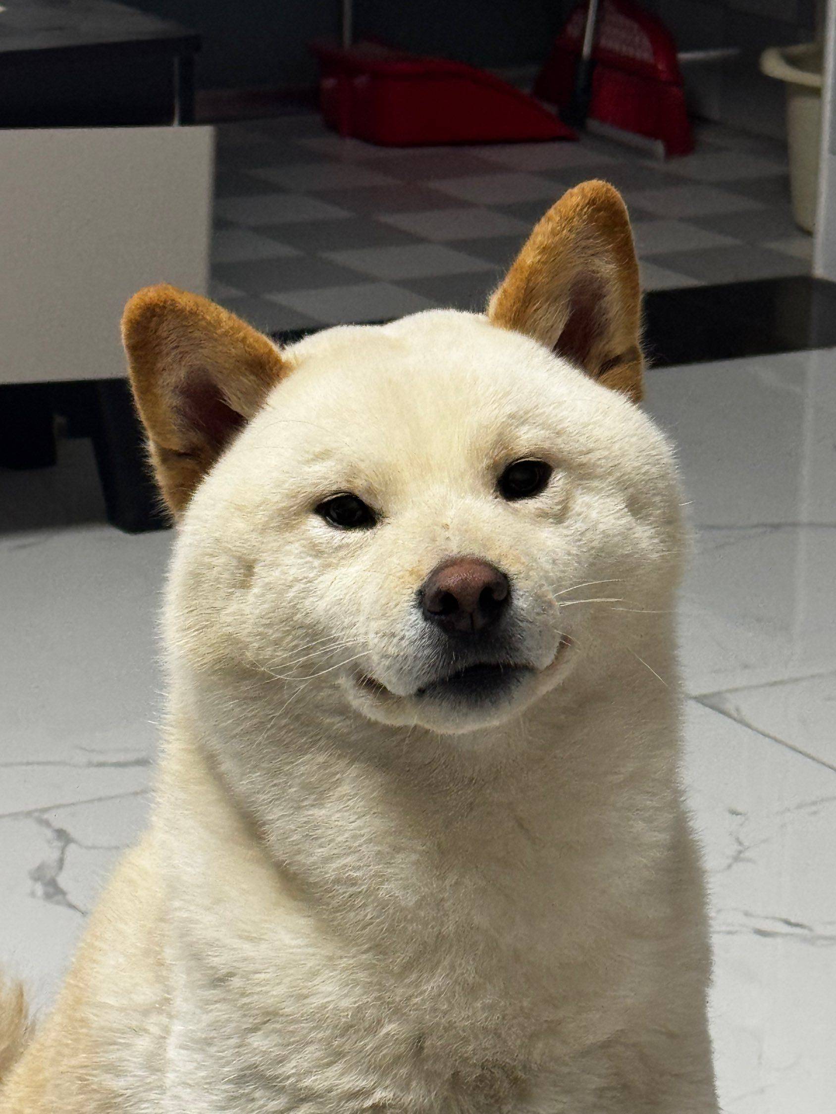 找室友找室友找室友很急很急！！！_3