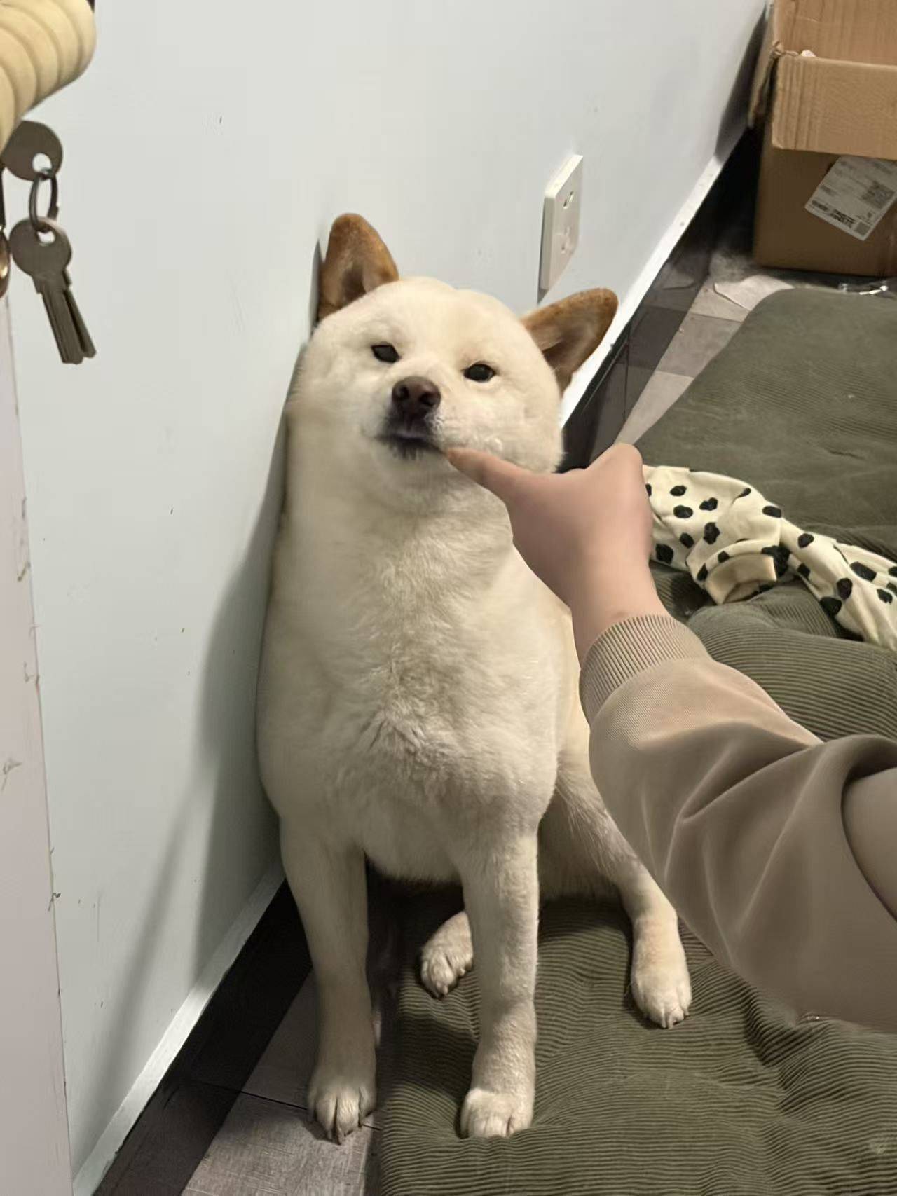 找室友找室友找室友很急很急！！！_1